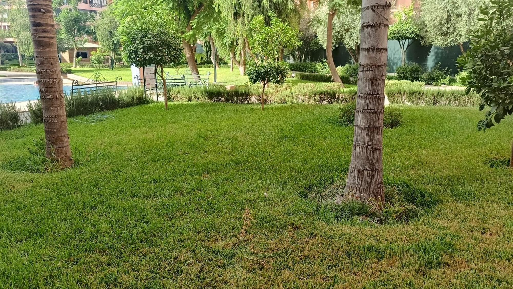 Marrakech Premium Village C186 Apartamento *